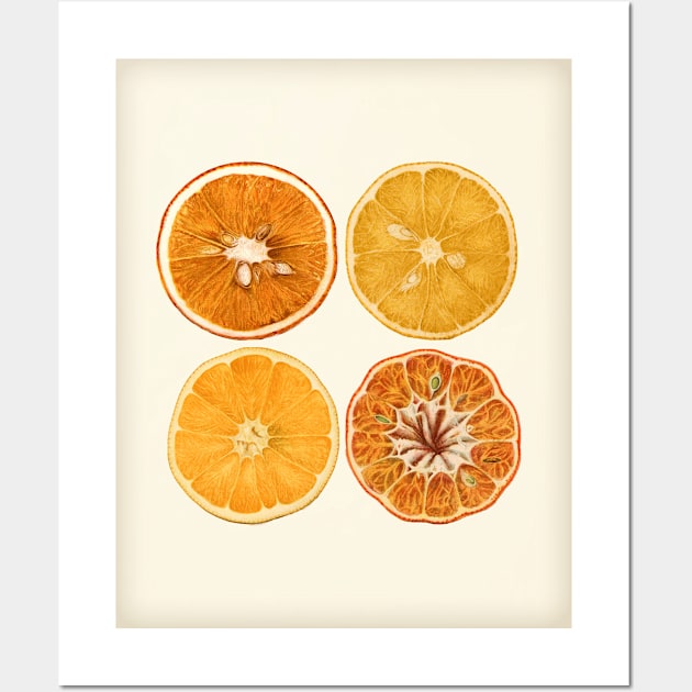 Retro Style Orange & Lemon Slice Art Wall Art by DownThePath